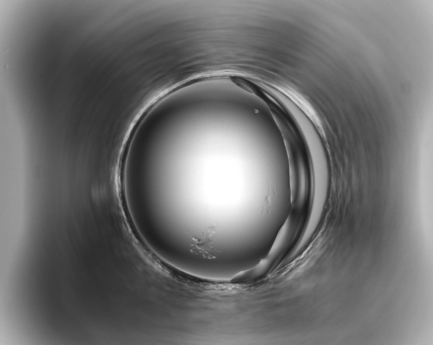 X0000096480813200801241443