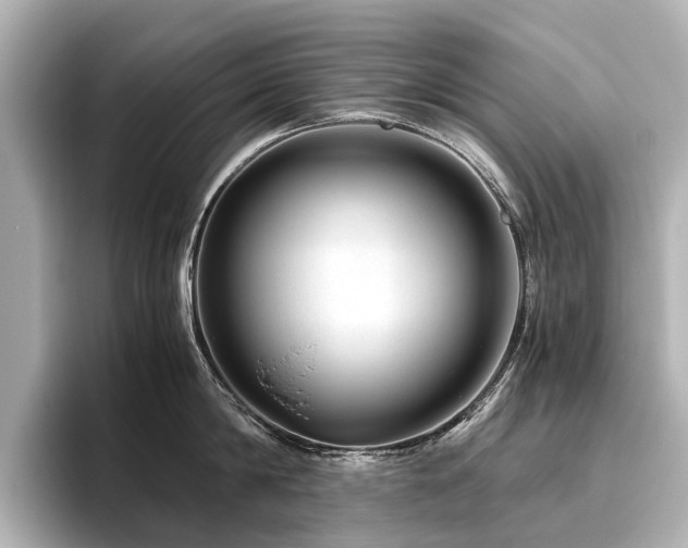 X0000096480814200801241443