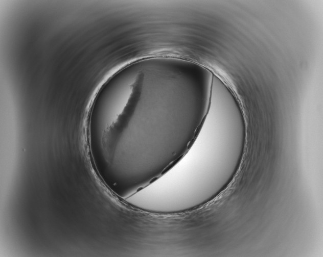 X0000096480816200801241443