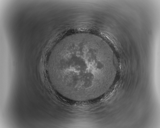 X0000096480817200801241442