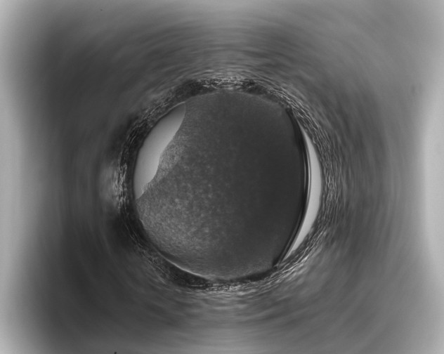 X0000096480818200801241442