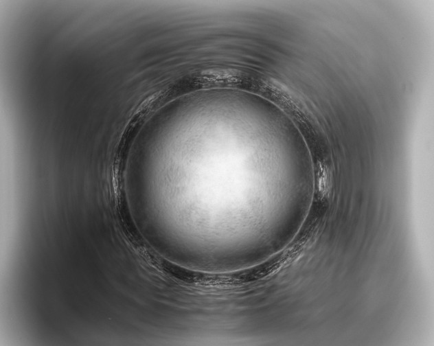 X0000096480819200801241442