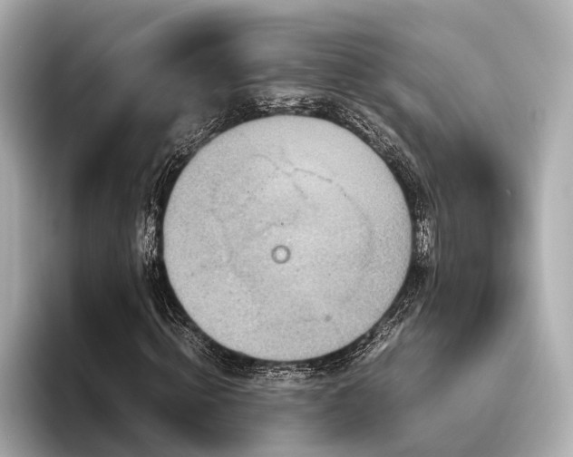 X0000096480820200801241442