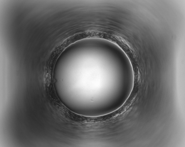 X0000096480821200801241442