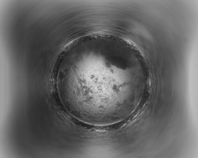 X0000096480822200801241442