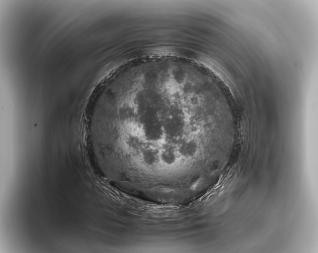 X0000096480823200801241442