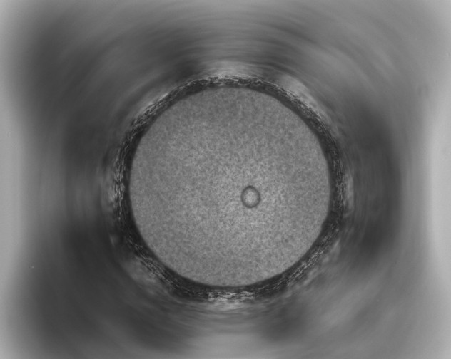 X0000096480824200801241442