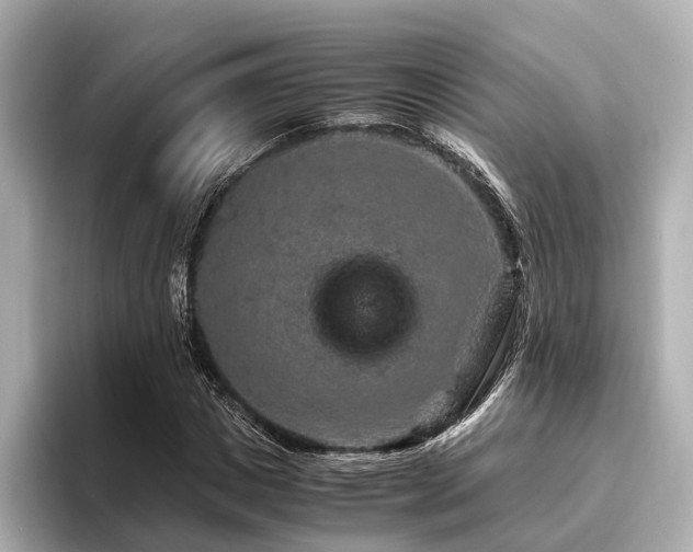 X0000096480825200801241442