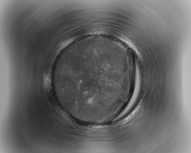 X0000096480826200801241442