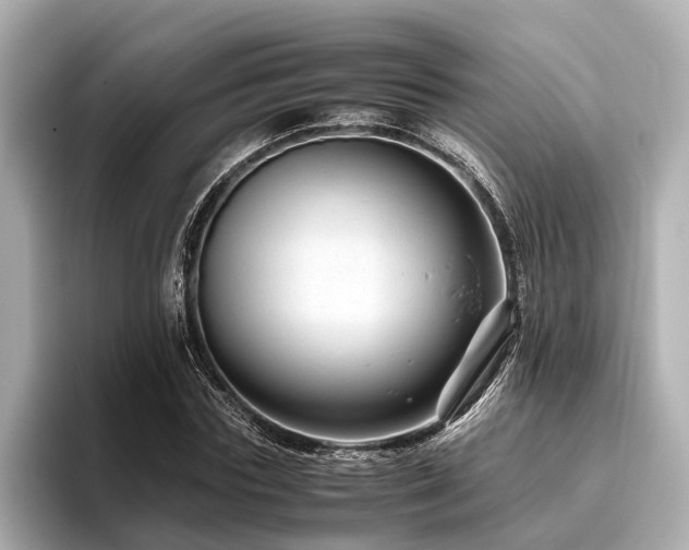 X0000096480827200801241442