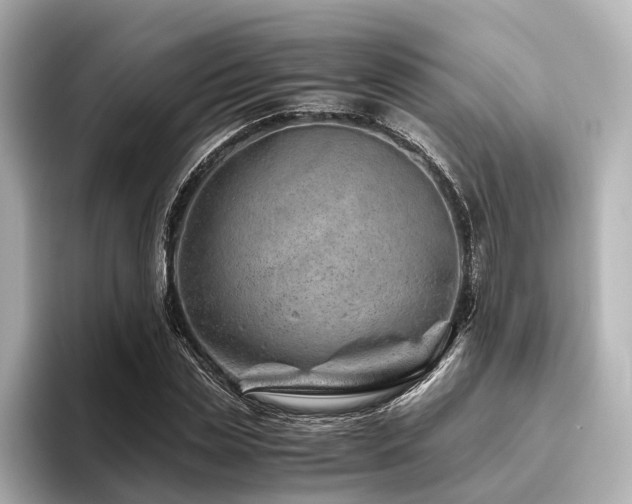 X0000096480829200801241442