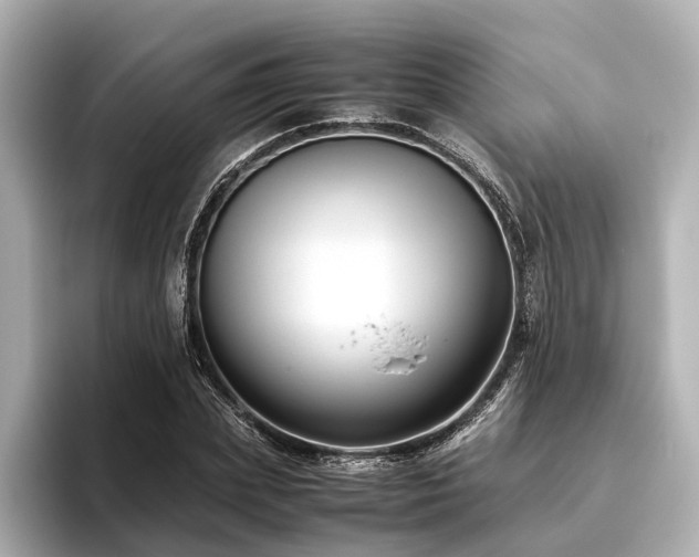 X0000096480831200801241442