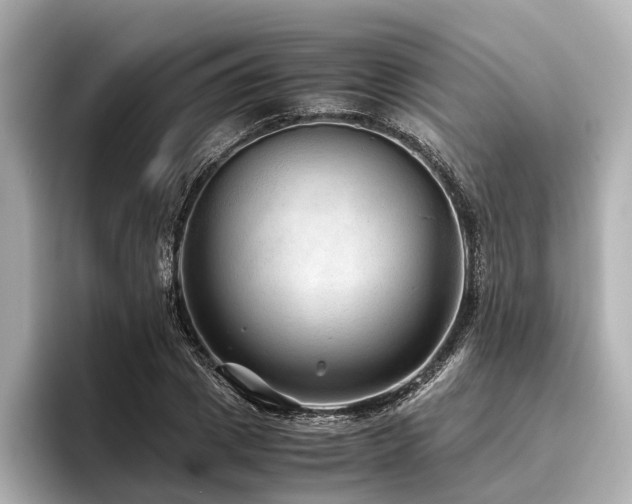 X0000096480833200801241443