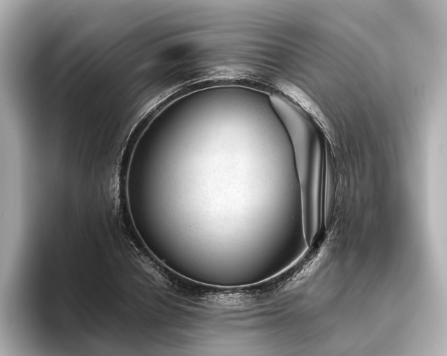 X0000096480834200801241443