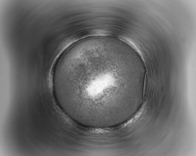 X0000096480835200801241443