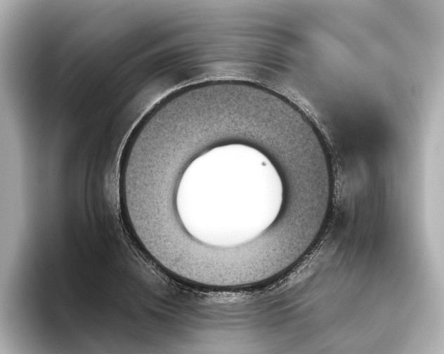 X0000096480836200801241443