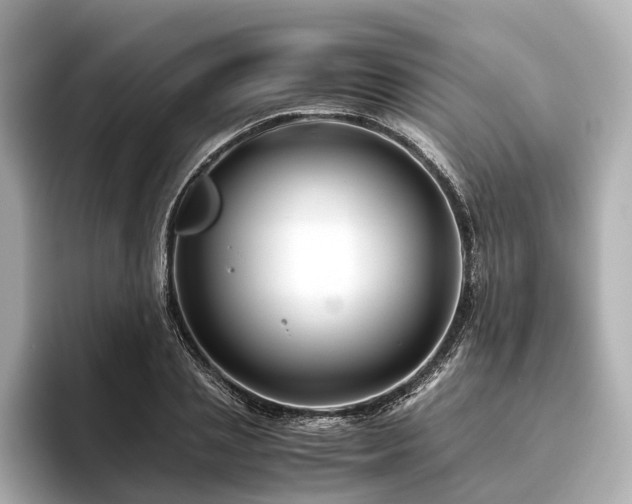 X0000096480837200801241443