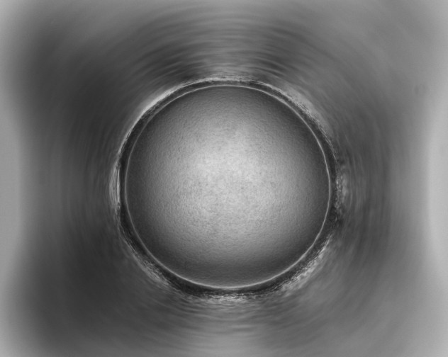 X0000096480838200801241443