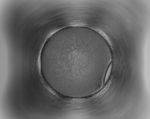 X0000096480840200801241443