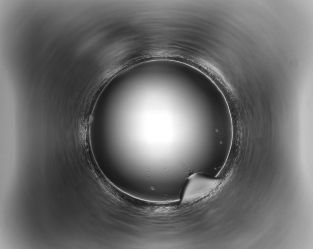 X0000096480841200801241443