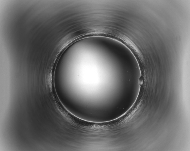 X0000096480842200801241443