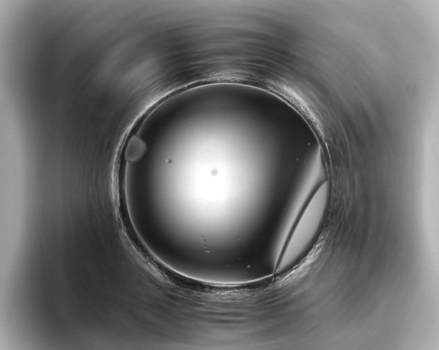 X0000096480843200801241443