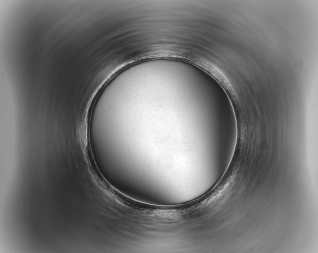 X0000096480844200801241443