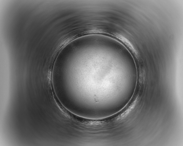 X0000096480849200801241443