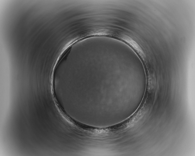 X0000096480850200801241443