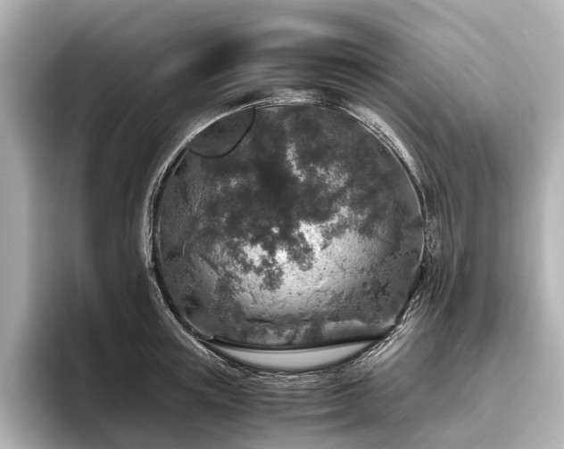 X0000096480851200801241443