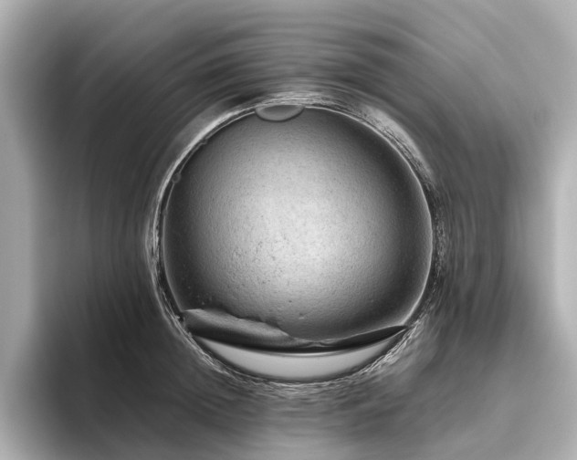 X0000096480852200801241443