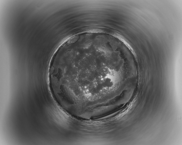 X0000096480853200801241443