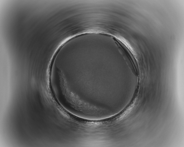 X0000096480854200801241443