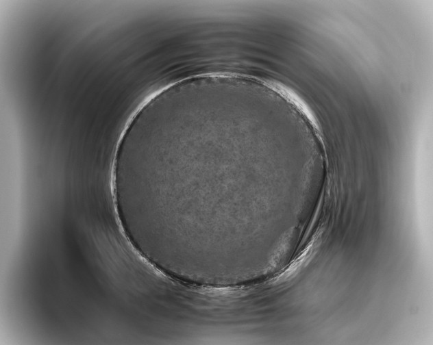 X0000096480855200801241443