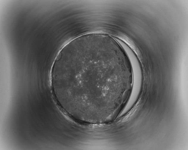 X0000096480858200801241443