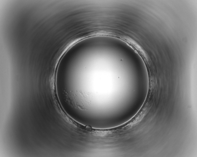 X0000096480860200801241443