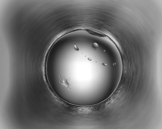 X0000096480861200801241443