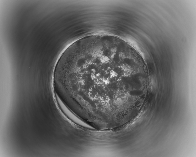 X0000096480863200801241443