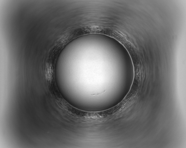 X0000096480866200801241442