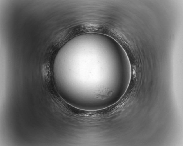 X0000096480867200801241442