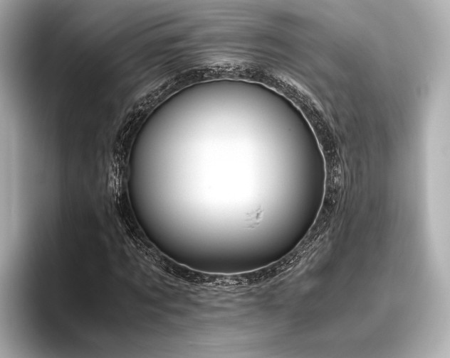 X0000096480869200801241442