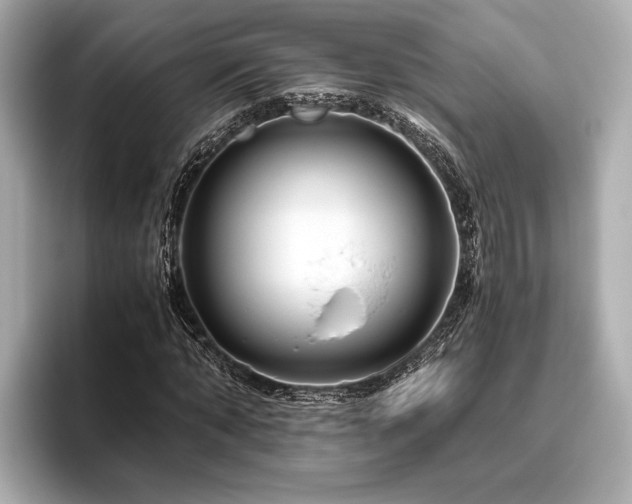 X0000096480870200801241442