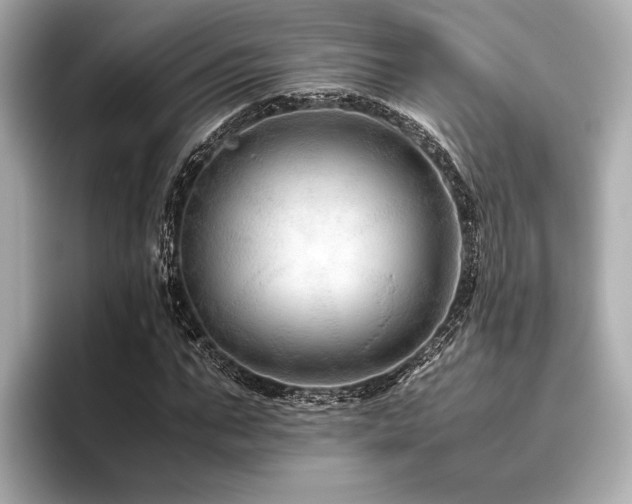 X0000096480871200801241442