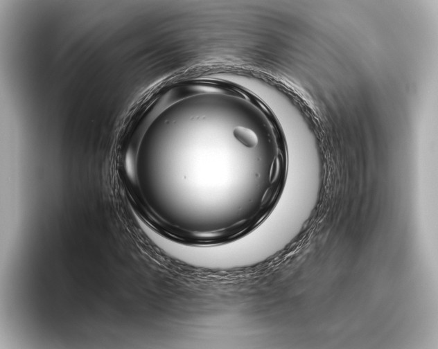 X0000096480872200801241442