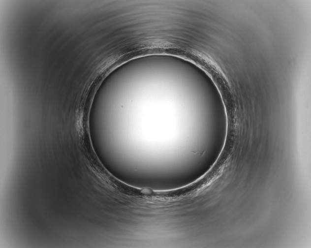 X0000096480873200801241442