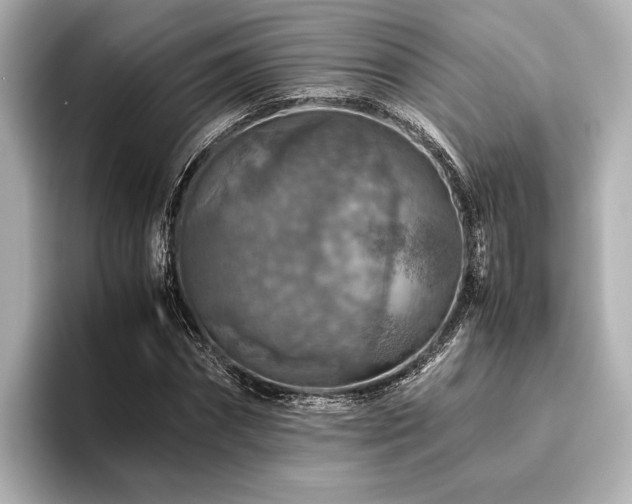 X0000096480874200801241442