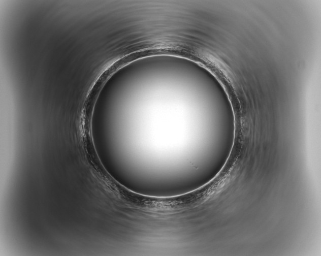 X0000096480875200801241442