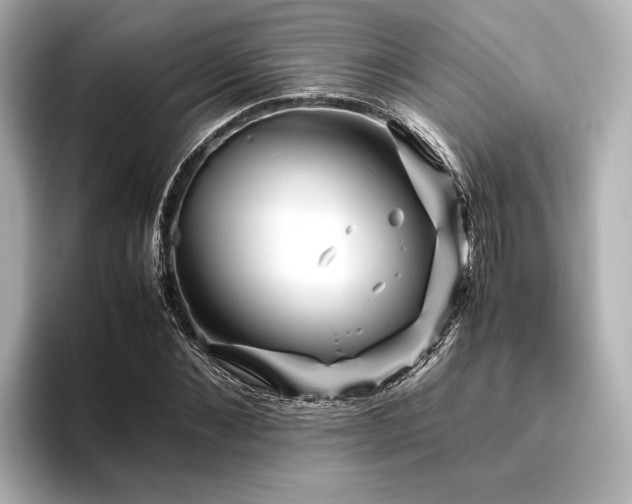 X0000096480876200801241442