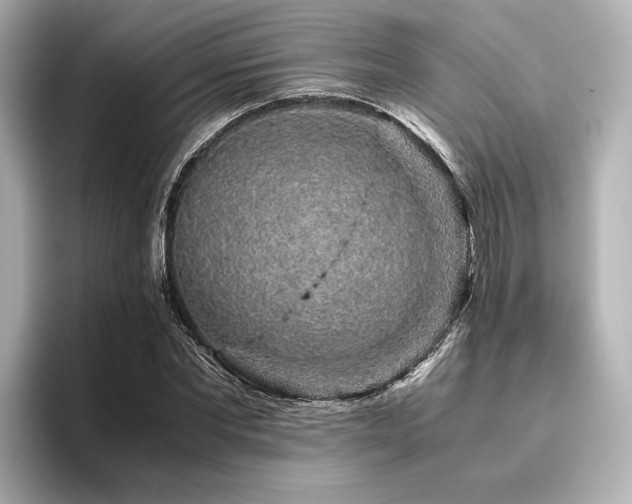 X0000096480877200801241442