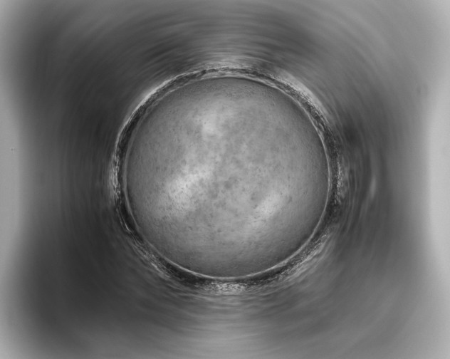 X0000096480878200801241442